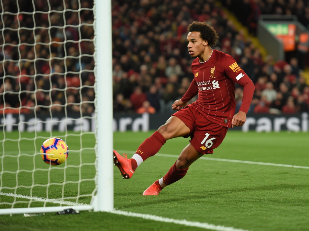 的未来之星 的未来之星